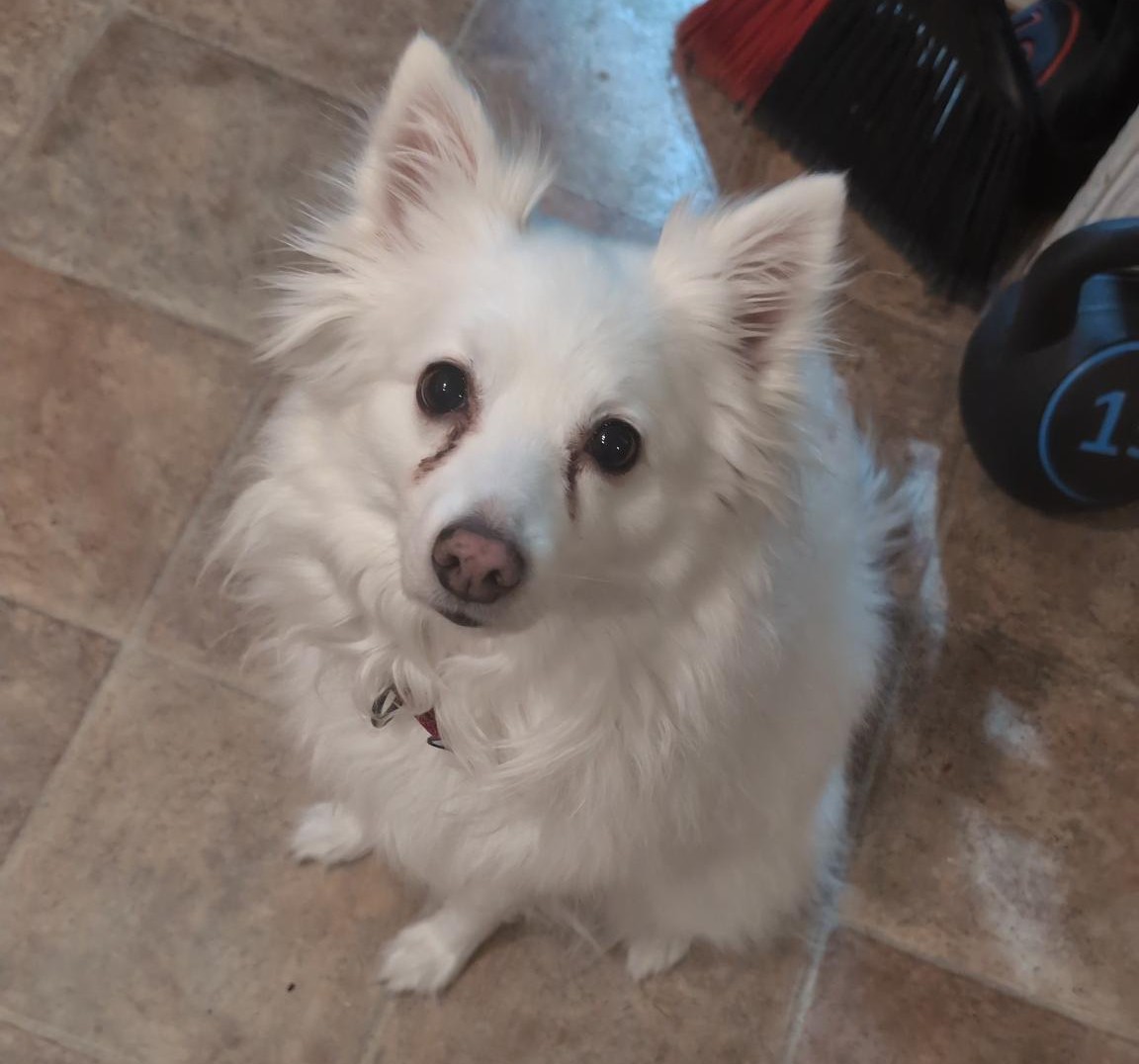 Lola Lu